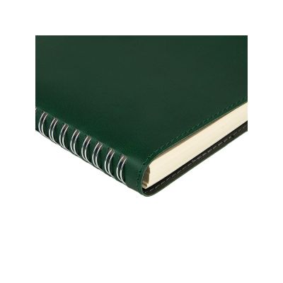 Ежедневник А5 Tintoretto, зеленый-1