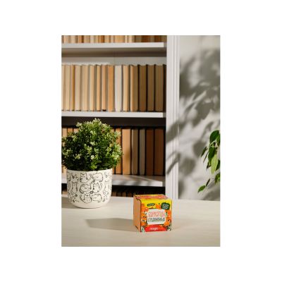 Набор для выращивания Экокуб Magicme Бархатцы-4