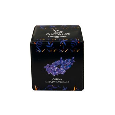 Набор для выращивания Small village cube Сирень-1