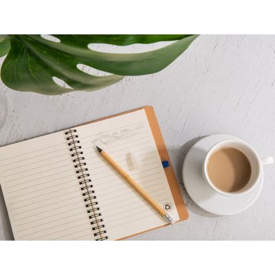 Вечный карандаш Nature из бамбука с белым ластиком-3