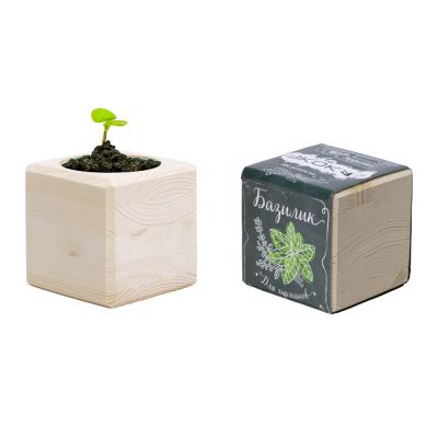 Набор для выращивания Экокуб Classic Базилик-4