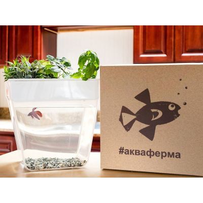 Набор для выращивания растений и ухода за рыбкой Акваферма-6