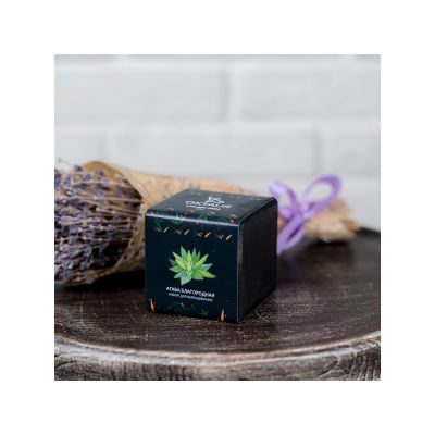 Набор для выращивания Small village cube Агава Благородная-2