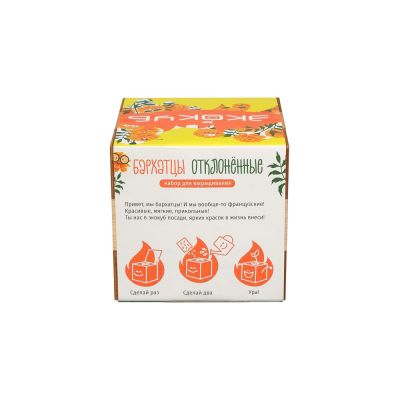 Набор для выращивания Экокуб Magicme Бархатцы-3