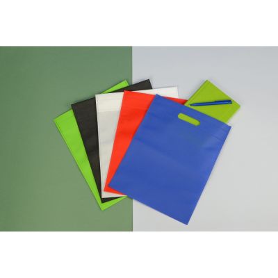 Сумка для выставок Prime, белый-4