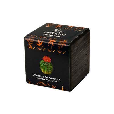 Набор для выращивания Small village cube Эхинокактус Альбинос-0