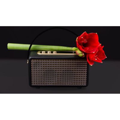 Rombica Mysound Drive, черный-7