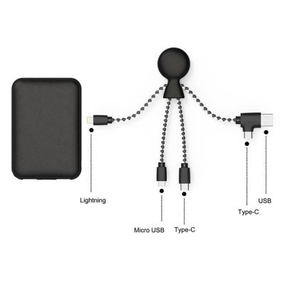 Портативное зарядное устройство BioPack c кабелем Mr. Bio, 5000 mAh, черный-2