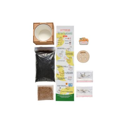 Набор для выращивания Экокуб Magicme Бархатцы-1