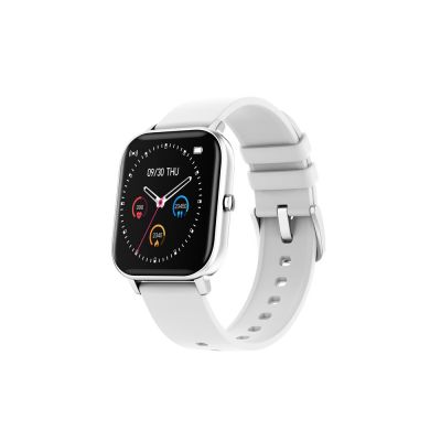 Смарт-часы Canyon SW-74 Wildberry , IP67, серебристый-0
