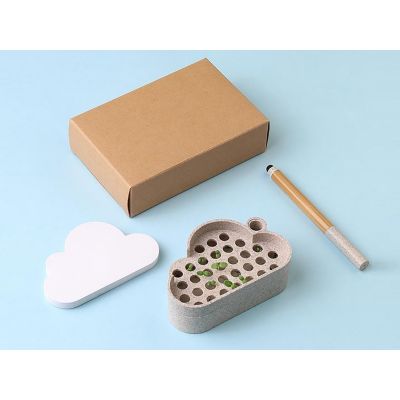 Набор для записей с семенами ромашки Patio-4