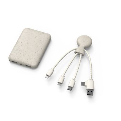 Портативное зарядное устройство BioPack c кабелем Mr. Bio, 5000 mAh, белый-1