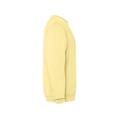 Свитшот Jaya унисекс, солнечно-желтый выстиранный WASHED-3