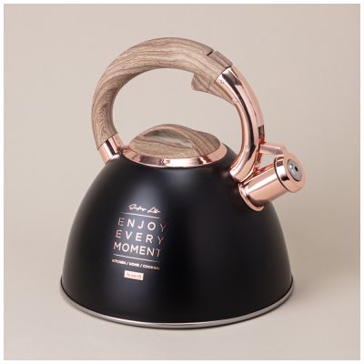 ЧАЙНИК AGNESS СО СВИСТКОМ, СЕРИЯ ТЮДОР, 3,0 Л ТЕРМОАККУМУЛИРУЮЩЕЕ ДНО, ИНДУКЦИЯ-3