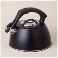 ЧАЙНИК AGNESS СО СВИСТКОМ, СЕРИЯ ТЮДОР, 2,8Л ТЕРМОАККУМУЛИРУЮЩЕЕ ДНО,ИНДУКЦИЯ,ВСТРОЕННЫЙ ТЕРМОМЕТР