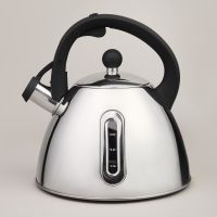 ЧАЙНИК СО СВИСТКОМ И МЕРНОЙ ШКАЛОЙ, 3,2Л