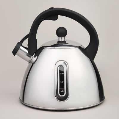 ЧАЙНИК СО СВИСТКОМ И МЕРНОЙ ШКАЛОЙ, 3,2Л-0