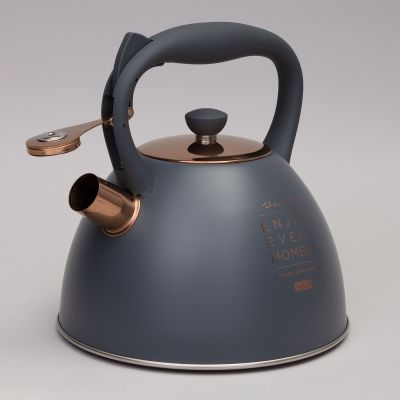 ЧАЙНИК AGNESS СО СВИСТКОМ, 3,0 Л ТЕРМОАККУМУЛИРУЮЩЕЕ ДНО, ИНДУКЦИЯ-2