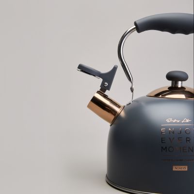 ЧАЙНИК AGNESS СО СВИСТКОМ 2,5 Л,НЖС ИНДУКЦИЯ-4