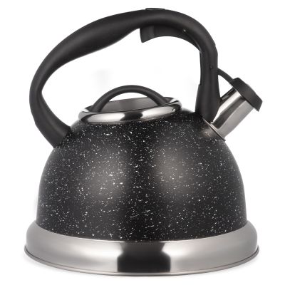 ЧАЙНИК AGNESS СО СВИСТКОМ, 3,1 Л-1