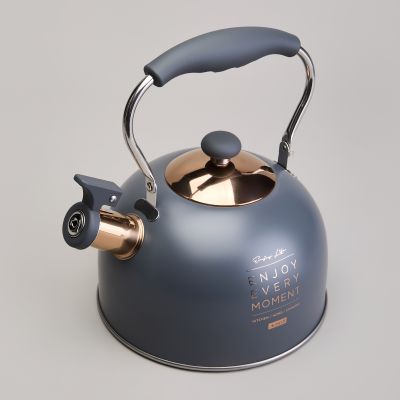 ЧАЙНИК AGNESS СО СВИСТКОМ 2,5 Л,НЖС ИНДУКЦИЯ-2