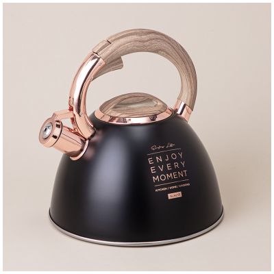 ЧАЙНИК AGNESS СО СВИСТКОМ, СЕРИЯ ТЮДОР, 3,0 Л ТЕРМОАККУМУЛИРУЮЩЕЕ ДНО, ИНДУКЦИЯ-0