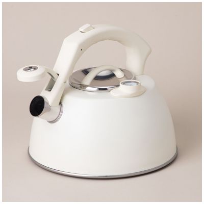 ЧАЙНИК AGNESS СО СВИСТКОМ, СЕРИЯ ТЮДОР, 2,8Л ТЕРМОАККУМУЛИРУЮЩЕЕ ДНО,ИНДУКЦИЯ,ВСТРОЕННЫЙ ТЕРМОМЕТР-2