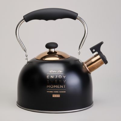 ЧАЙНИК AGNESS СО СВИСТКОМ 2,5 Л,НЖС ИНДУКЦИЯ-2