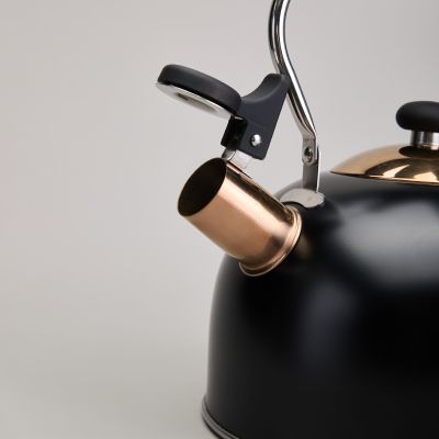 ЧАЙНИК AGNESS СО СВИСТКОМ 2,5 Л,НЖС ИНДУКЦИЯ-5