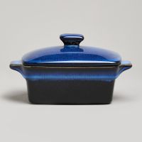 ФОРМА ДЛЯ ЗАПЕКАНИЯ С КРЫШКОЙ / МАСЛЕНКА REACTIVE BLUE 16,5*10*5/9 СМ 250 МЛ