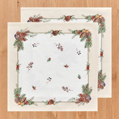 НАБОР САЛФЕТОК ИЗ 2-Х ШТ   