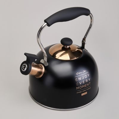 ЧАЙНИК AGNESS СО СВИСТКОМ 2,5 Л,НЖС ИНДУКЦИЯ-3