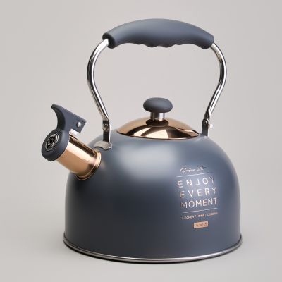 ЧАЙНИК AGNESS СО СВИСТКОМ 2,5 Л,НЖС ИНДУКЦИЯ-0