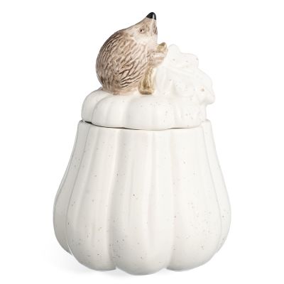 БАНКА С КРЫШКОЙ 13Х13Х18,5 СМ-0