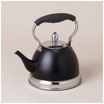 ЧАЙНИК AGNESS С ФИЛЬТРОМ, 1,0 Л C ИНДУКЦИОН. КАПСУЛЬНЫМ ДНОМ И СКЛАДЫВАЮЩЕЙСЯ РУЧКОЙ-0