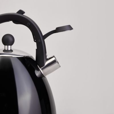 ЧАЙНИК СО СВИСТКОМ И МЕРНОЙ ШКАЛОЙ, 3,2Л-2