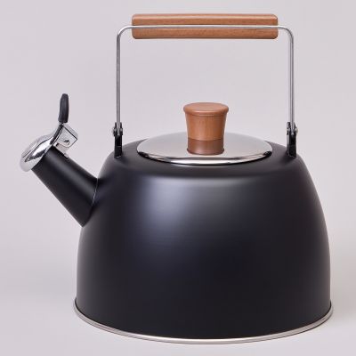 ЧАЙНИК AGNESS 3,0 Л СО СВИСТКОМ И СКЛАДЫВАЮЩЕЙСЯ РУЧКОЙ, ИНДУКЦИОННОЕ КАПСУЛЬНОЕ ДНО-0