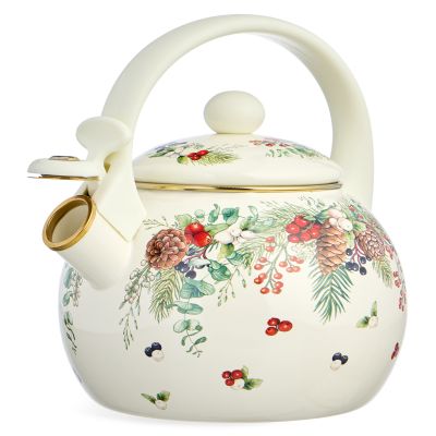 ЧАЙНИК AGNESS ЭМАЛИРОВАННЫЙ СО СВИСТКОМ СЕРИЯ 