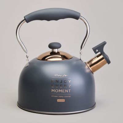 ЧАЙНИК AGNESS СО СВИСТКОМ 2,5 Л,НЖС ИНДУКЦИЯ-3