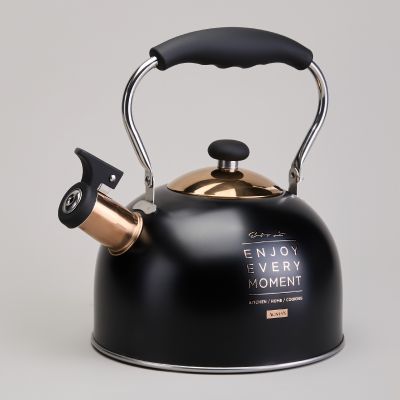 ЧАЙНИК AGNESS СО СВИСТКОМ 2,5 Л,НЖС ИНДУКЦИЯ-0