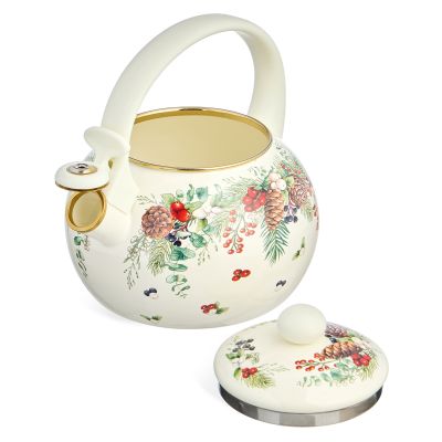 ЧАЙНИК AGNESS ЭМАЛИРОВАННЫЙ СО СВИСТКОМ СЕРИЯ 