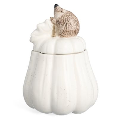 БАНКА С КРЫШКОЙ 13Х13Х18,5 СМ-1