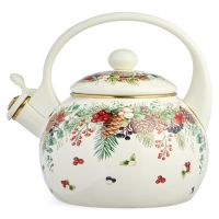 ЧАЙНИК AGNESS ЭМАЛИРОВАННЫЙ СО СВИСТКОМ СЕРИЯ 