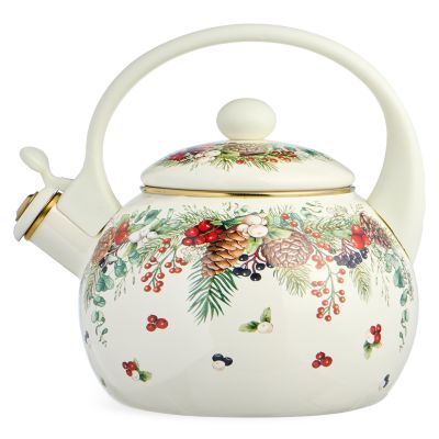 ЧАЙНИК AGNESS ЭМАЛИРОВАННЫЙ СО СВИСТКОМ СЕРИЯ 