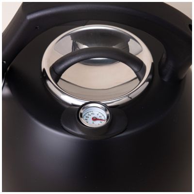 ЧАЙНИК AGNESS СО СВИСТКОМ, СЕРИЯ ТЮДОР, 2,8Л ТЕРМОАККУМУЛИРУЮЩЕЕ ДНО,ИНДУКЦИЯ,ВСТРОЕННЫЙ ТЕРМОМЕТР-4