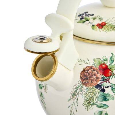 ЧАЙНИК AGNESS ЭМАЛИРОВАННЫЙ СО СВИСТКОМ СЕРИЯ 