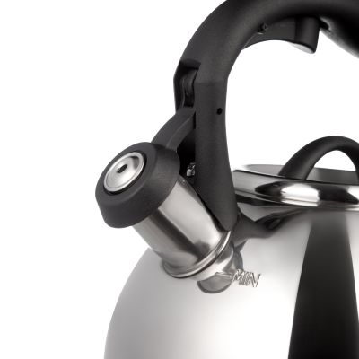 ЧАЙНИК AGNESS СО СВИСТКОМ, 3,1 Л-4