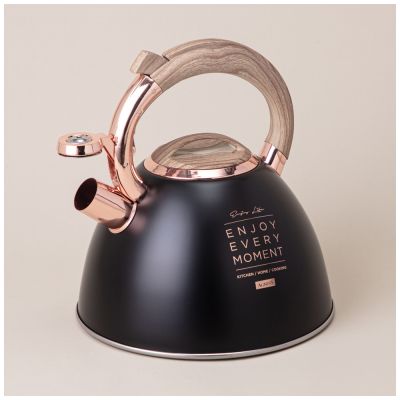 ЧАЙНИК AGNESS СО СВИСТКОМ, СЕРИЯ ТЮДОР, 3,0 Л ТЕРМОАККУМУЛИРУЮЩЕЕ ДНО, ИНДУКЦИЯ-2