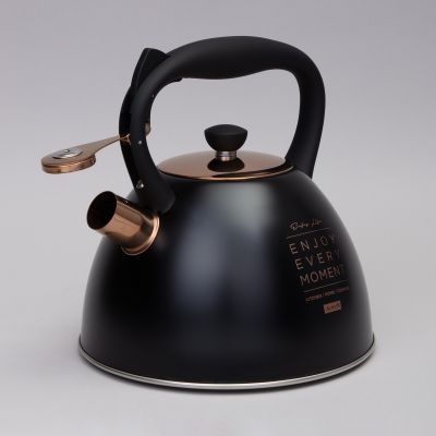 ЧАЙНИК AGNESS СО СВИСТКОМ, 3,0 Л ТЕРМОАККУМУЛИРУЮЩЕЕ ДНО, ИНДУКЦИЯ-2