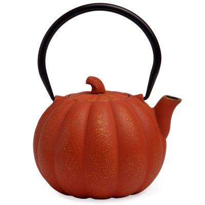 ЗАВАРОЧНЫЙ ЧАЙНИК ЧУГУННЫЙ С ЭМАЛИРОВАННЫМ ПОКРЫТИЕМ ВНУТРИ 900 МЛ-1